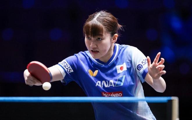 政府和社会 政府和社会